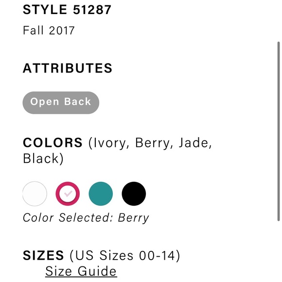 Sherri Hill Berry Dress - Picture 8 of 8